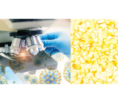 Nutrients that Strengthen Immune System